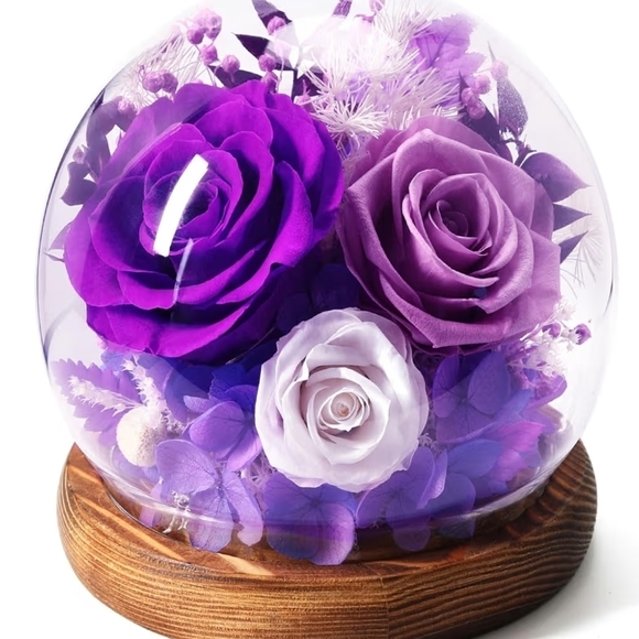 Amazon Other - Forever Real Preserved Roses in Glass Dome Roses